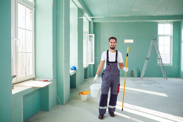 Best Basement Mold Removal  in Van Alstyne, TX