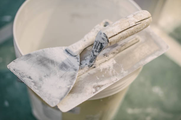 Forensic Mold Investigation in Van Alstyne, TX